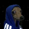xjdhtd6