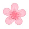flowerpink386