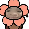 nguyen_ngocc1708