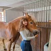 lisa.equestrian5