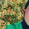 koko.ahmed24