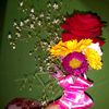 user1786658120609
