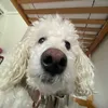 max.privv07