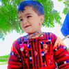 user4530741998033