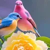 user9865129694568