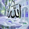 user166779377814