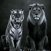 sardar.saad03