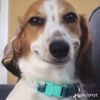 daboyray6