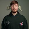 MrBeastClips151