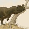 frogzilla18