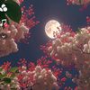 haneen.6633