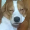 abcdefghihavetogooooo
