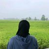 msy_gl