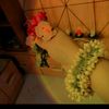 flower.queen23
