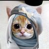 raisyaalthafunnisa27