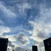 The.echogrind12