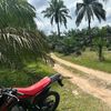 riyukikucinganggora123
