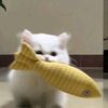 user1789073111_