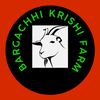 Bargachhi krishi Farm