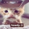 lvsfsy4
