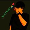 hussain.ali5664