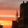 zezivar