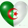 ahmedahmedahmed438