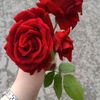 user807360943415