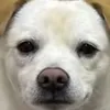 bipbipbop