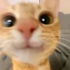 daskaa92