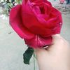 user6131984285750