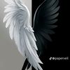 anthonyramirez58