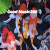 Good_Music266