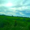 buigiahanthuymy