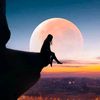 puniram.chaudhary3