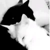 yyymm_16