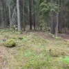 bj.535