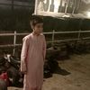 zabiullahkhan693