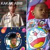 habib.inara
