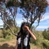 sccthann_