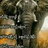 san.lin.aung1127
