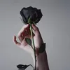 mardsh7