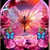 ommalak21