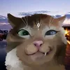yumifurr🌀🐾