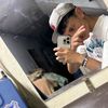 _felipe724