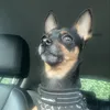 poposkateodora2