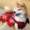canine_crusader