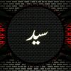 syedsain313