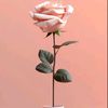 user9902008208828