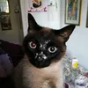 aimibianca